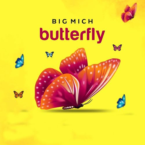 Butterfly cover art