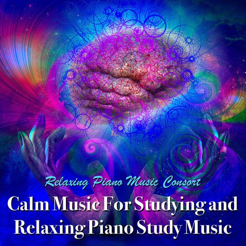 Calm Music for Studying and Relaxing Piano Study Music_poster_image