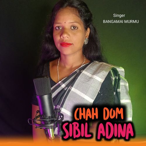 Chah Dom Sibil Adina