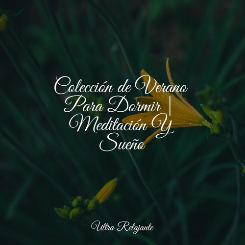 Colección de Verano Para Dormir | Meditación Y Sueño