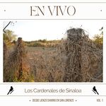 Los Vergelitos - En Vivo