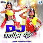 Dj Dhamida Pade