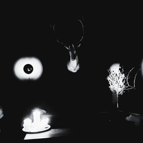 Fascination with Death