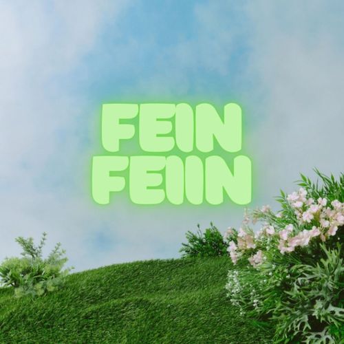 Fein Feiin