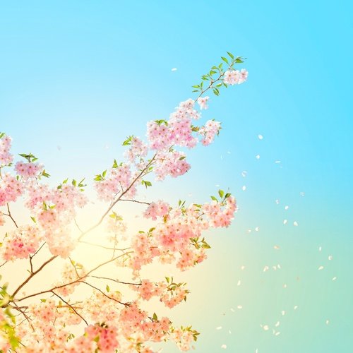 Gentle memories