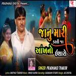 Janu Mari Karti Ja Aankho Na Ishara