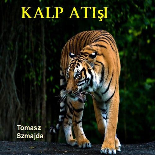 Kalp Atışı 2