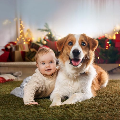 Melodías Relajantes Para Mascotas