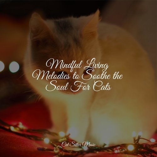 Mindful Living Melodies to Soothe the Soul For Cats