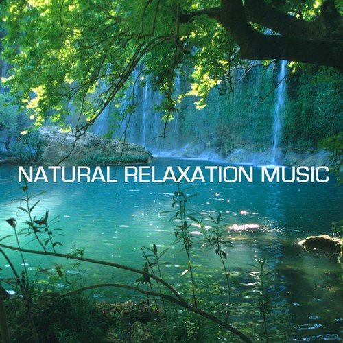 Water Nature Sounds cover art