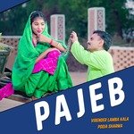 Pajeb