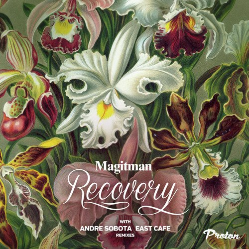 Recovery (Andre Sobota Remix) cover art