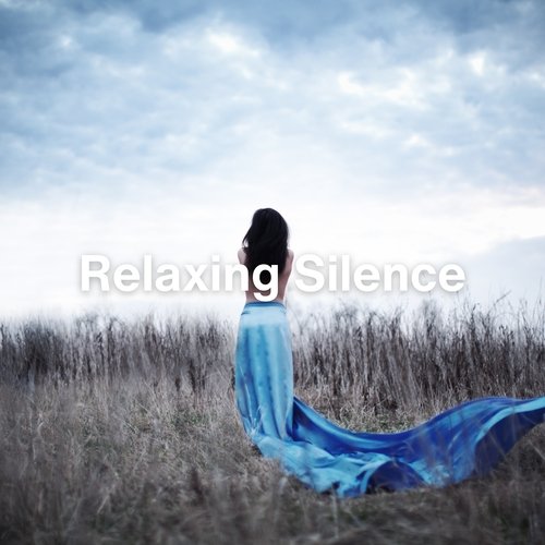 Relaxing Silence_poster_image