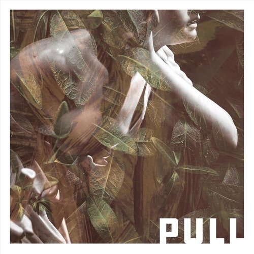 The Journalist cover art