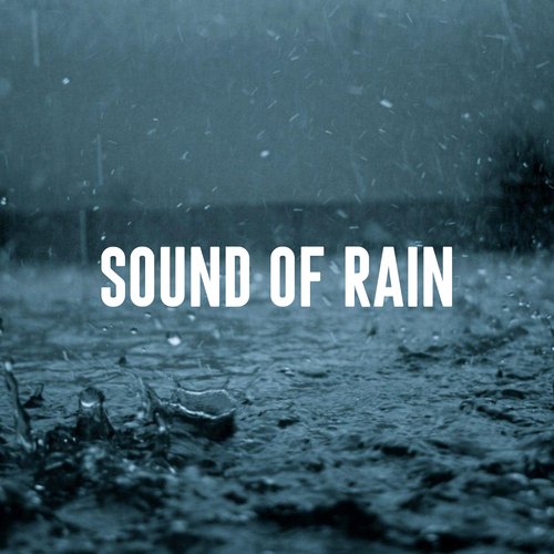 Sound of Rain_poster_image