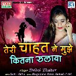 Teri Chahat Ne Mujhe Kitna Rulaya