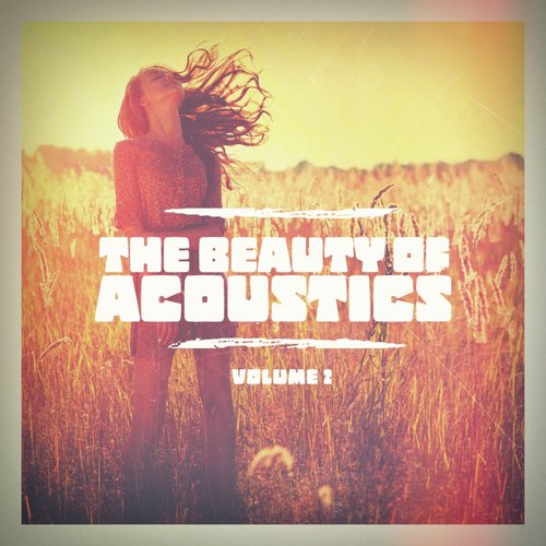 The Beauty of Acoustics, Vol. 2