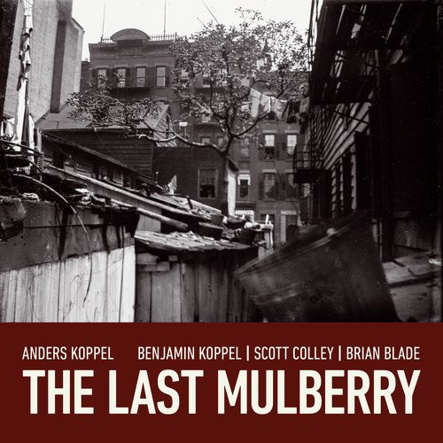 The Last Mulberry_poster_image