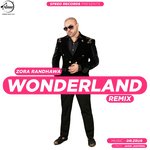 Wonderland Remix