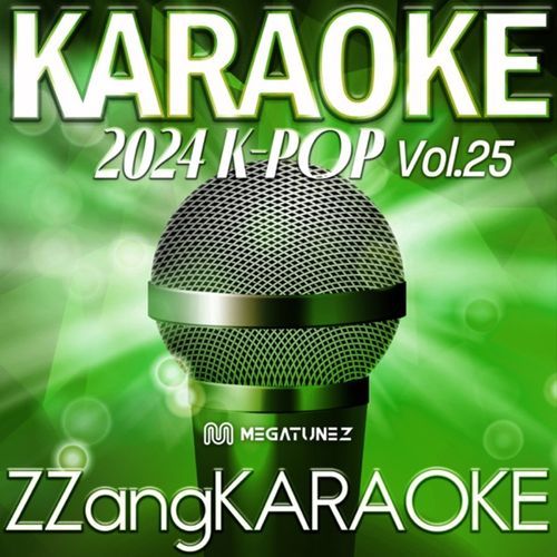 ZZang KARAOKE 2024 K-POP Vol.25