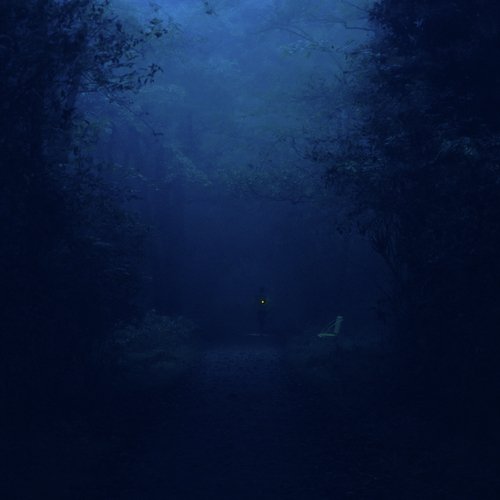 overnight cover art