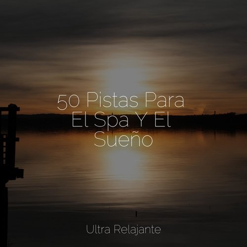 50 Pistas Para El Spa Y El Sueño