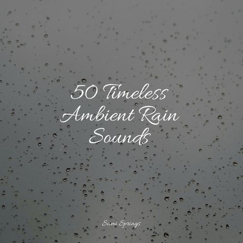 50 Timeless Ambient Rain Sounds