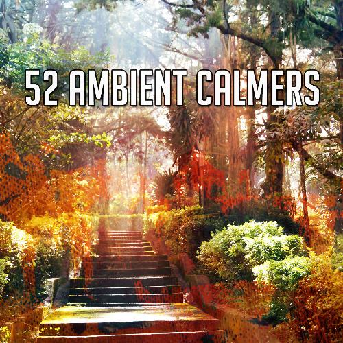 52 Ambient Calmers