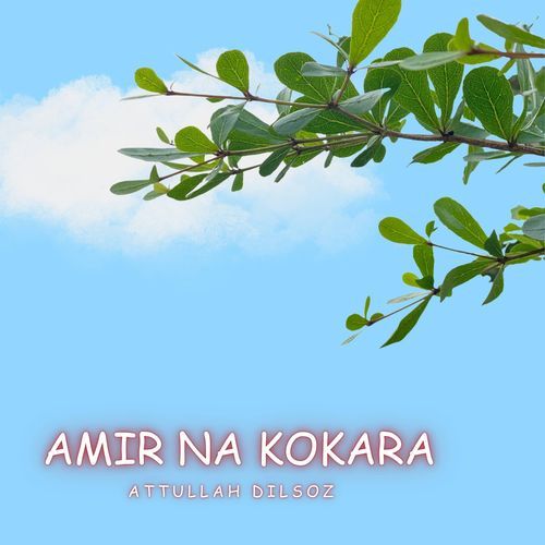 Amir Na Kokara