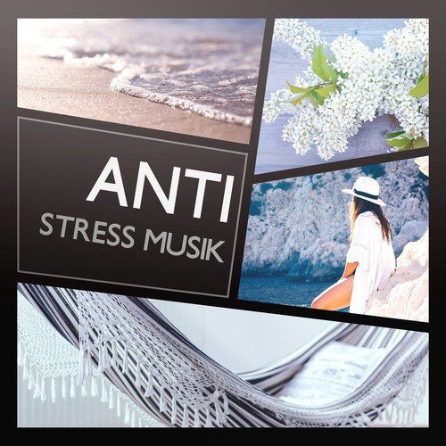 Andlig vägledning cover art