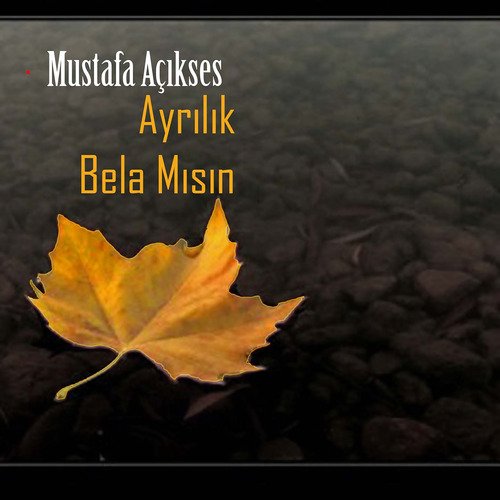 Ayrılık Bela Mısın 