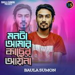 মনটা আমার কাচের আয়না