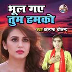 Bhool Gaye Tum Hamko