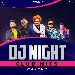 DJ Night Club Hits