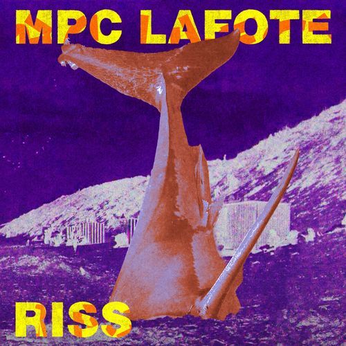Der Riss cover art