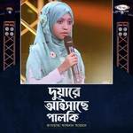 Duyare aisache palki