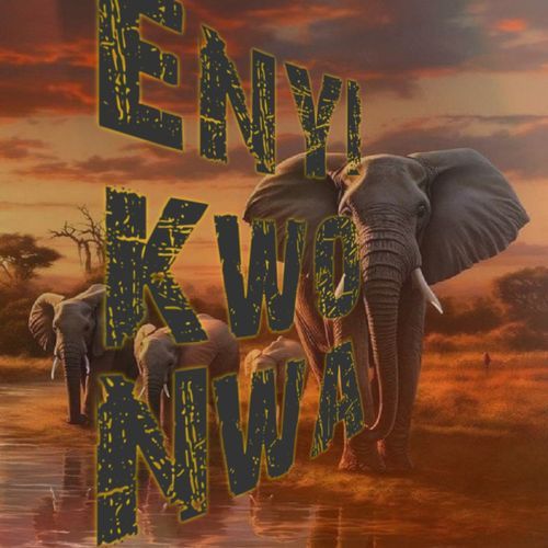 Enyi Kwo Nwa cover art
