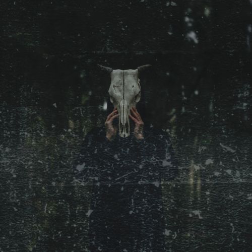 Where Shadows Know cover art