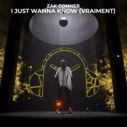 I Just Wanna Know (Vraiment)-HT8jaDp4Wn0