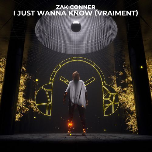 I Just Wanna Know (Vraiment)