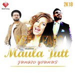 Maula Jutt