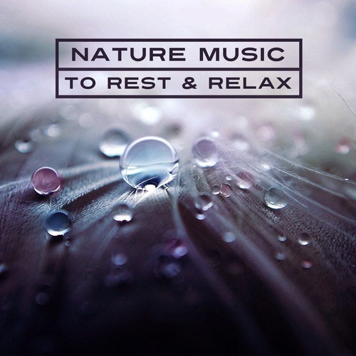 Relaxing Water cover art