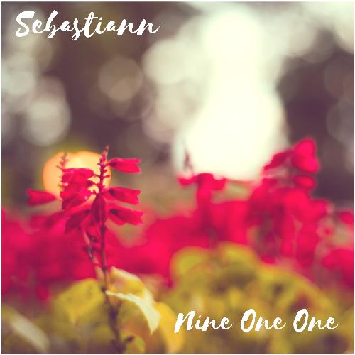 Nine One One (Extended Mix) cover art