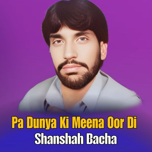 Pa Dunya Ki Meena Oor Di