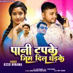 Pani Tapke Jim Dil Dhadake