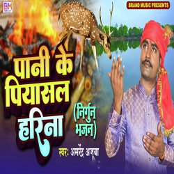 Pani ke piyasal harina-NV0BYBEEBlk