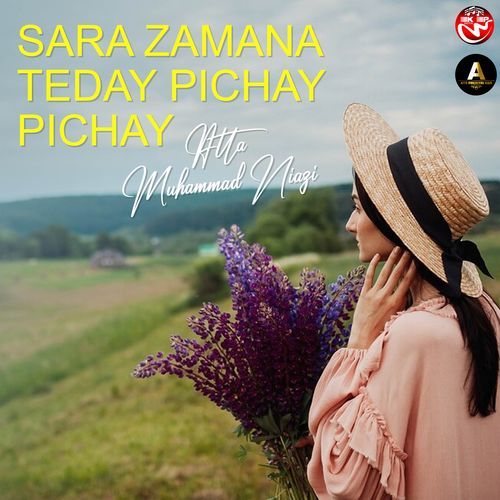Sara Zamana Teday Pichay Pichay
