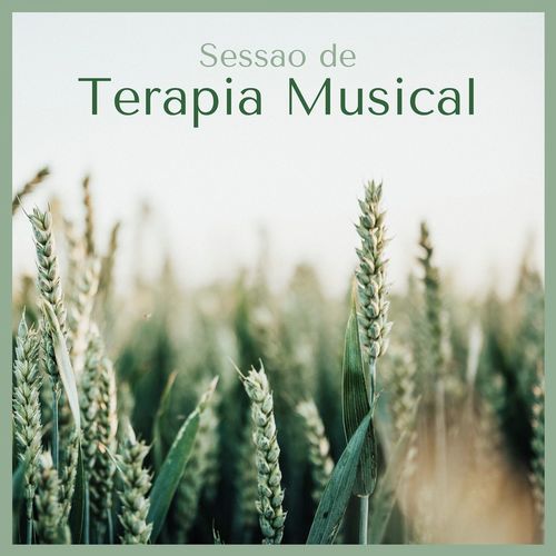 Evolução Cósmica cover art