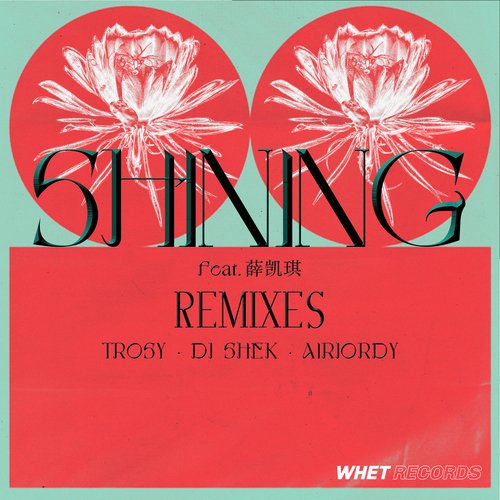 Shining (feat. Fiona Sit) (Remixes)_poster_image