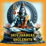 Shiv Shankar Bholenath